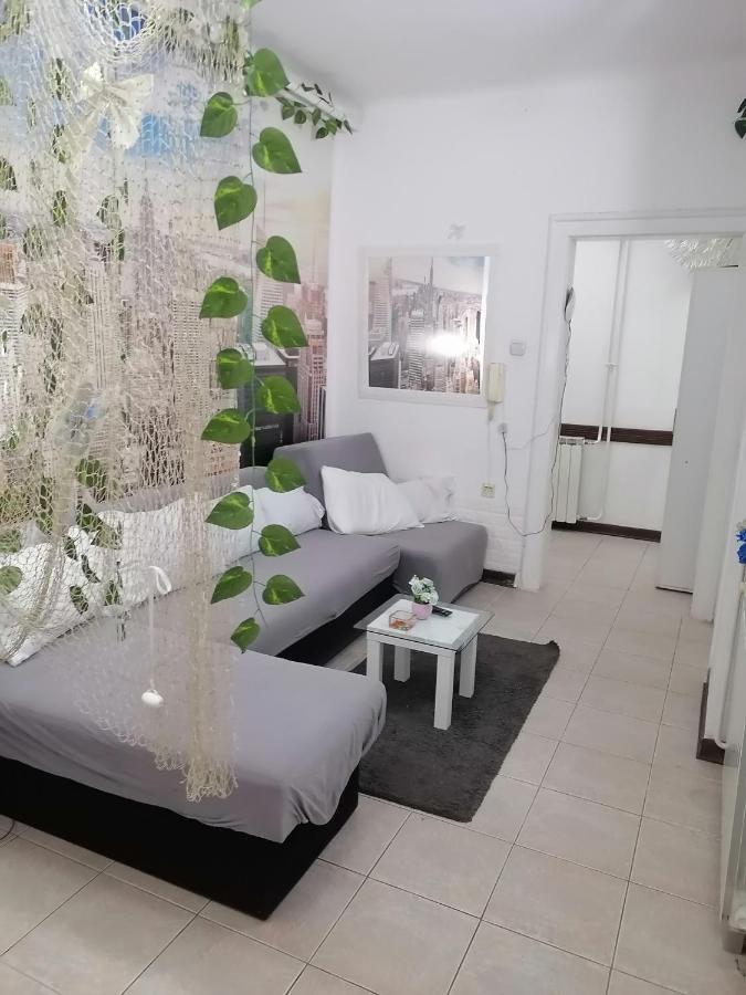 Low Cost Apartment เบลเกรด ภายนอก รูปภาพ